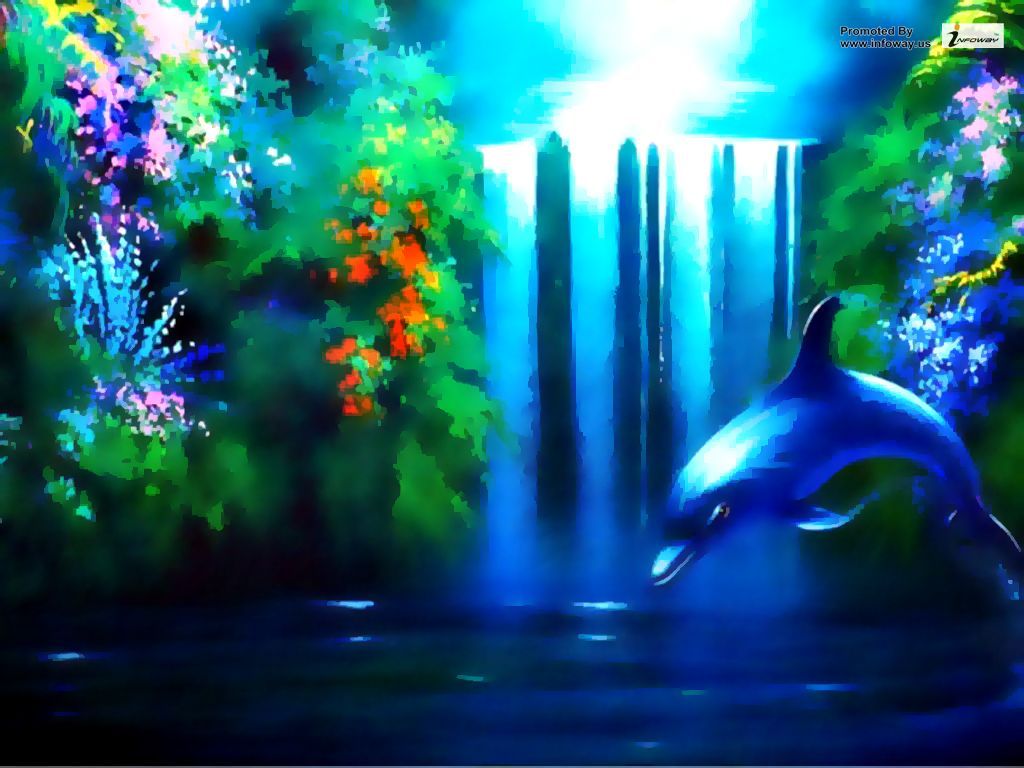 Cute Baby Dolphins Wallpapers