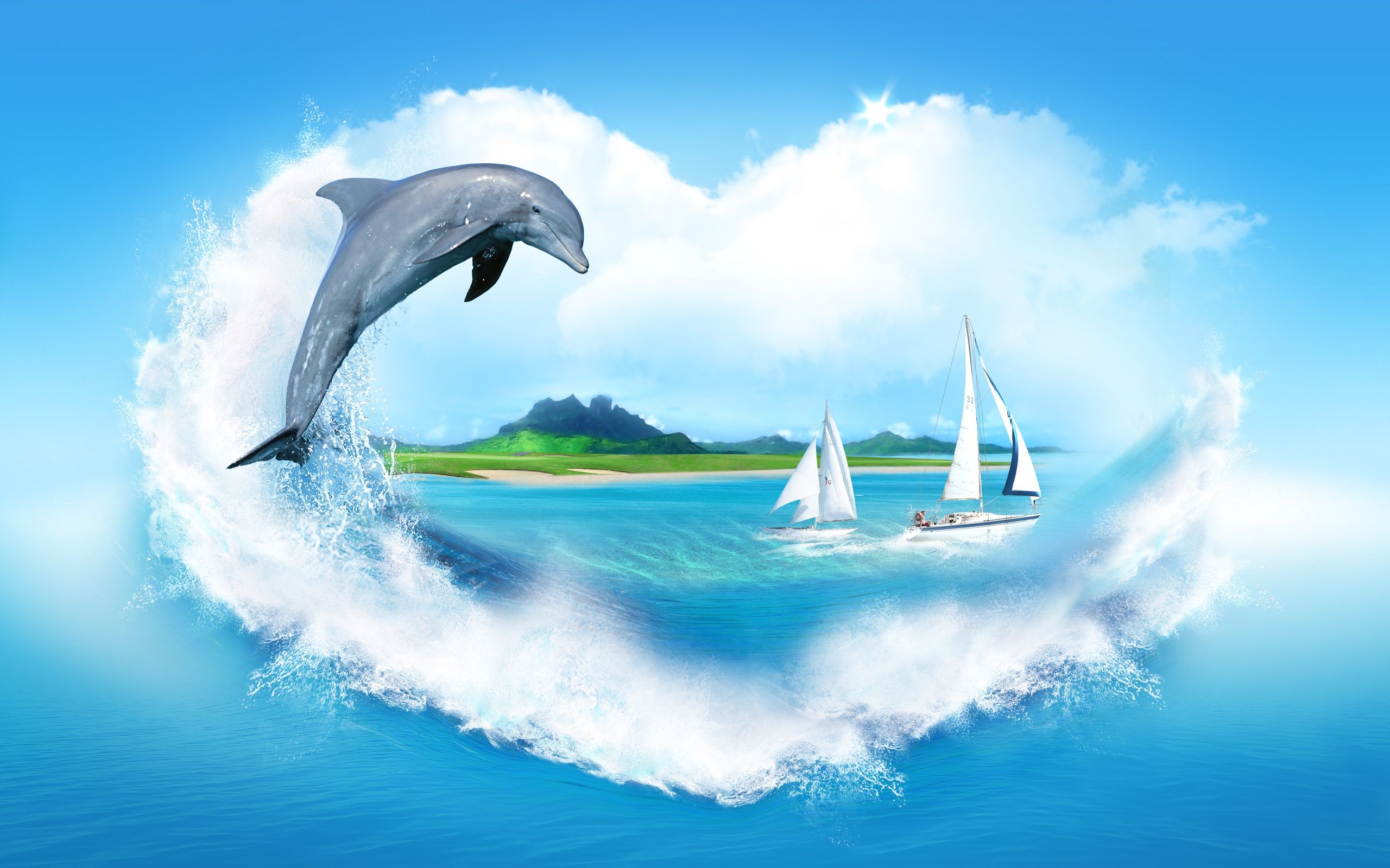 Cute Baby Dolphins Wallpapers