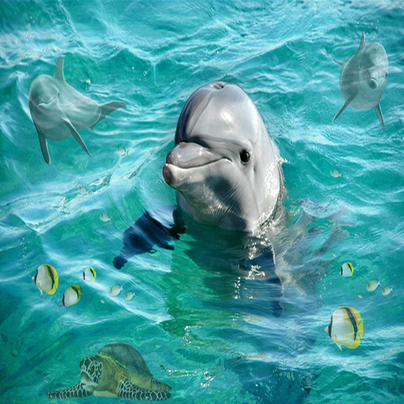 Cute Baby Dolphins Wallpapers
