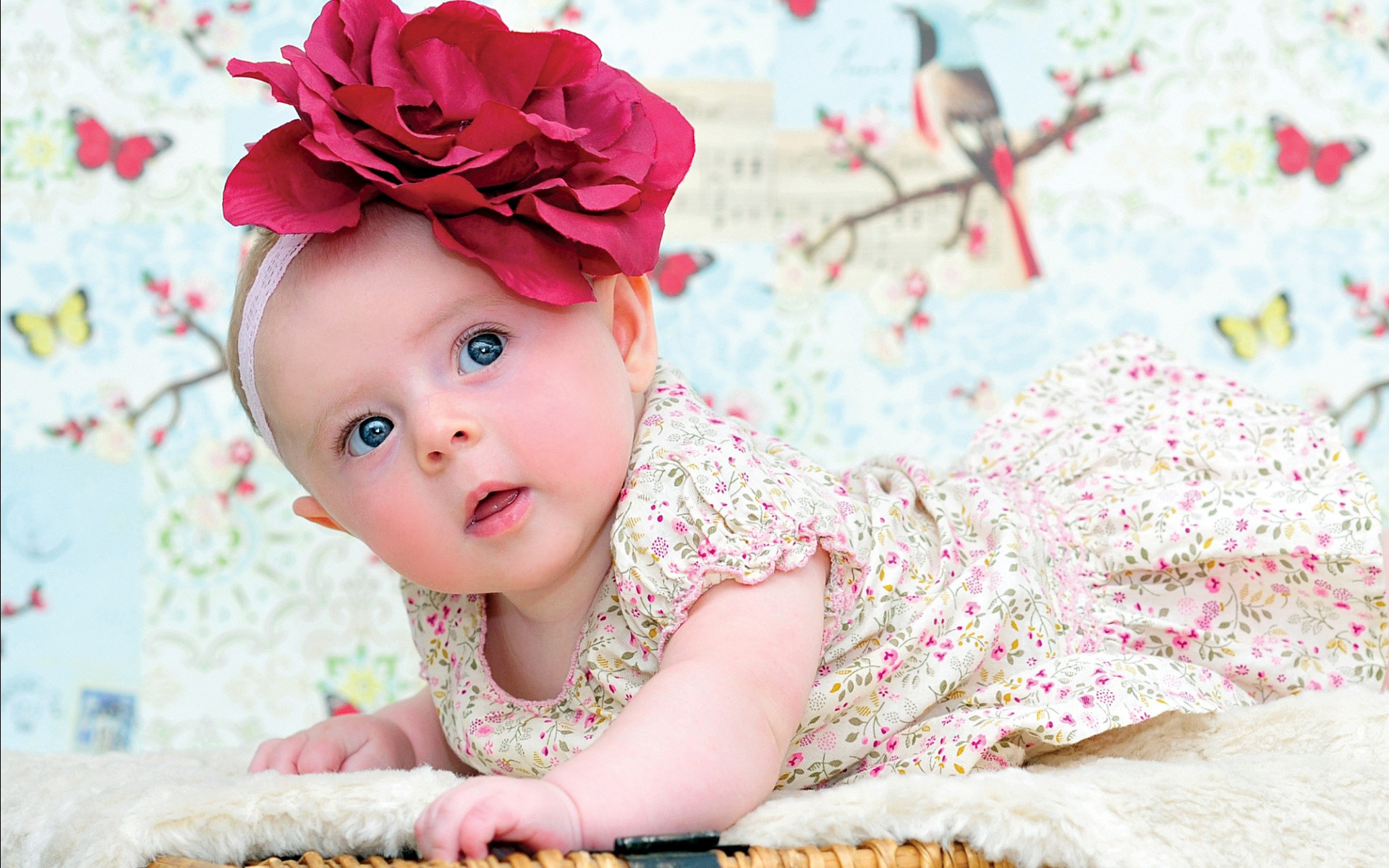 Cute Baby Girl Wallpapers Wallpapers