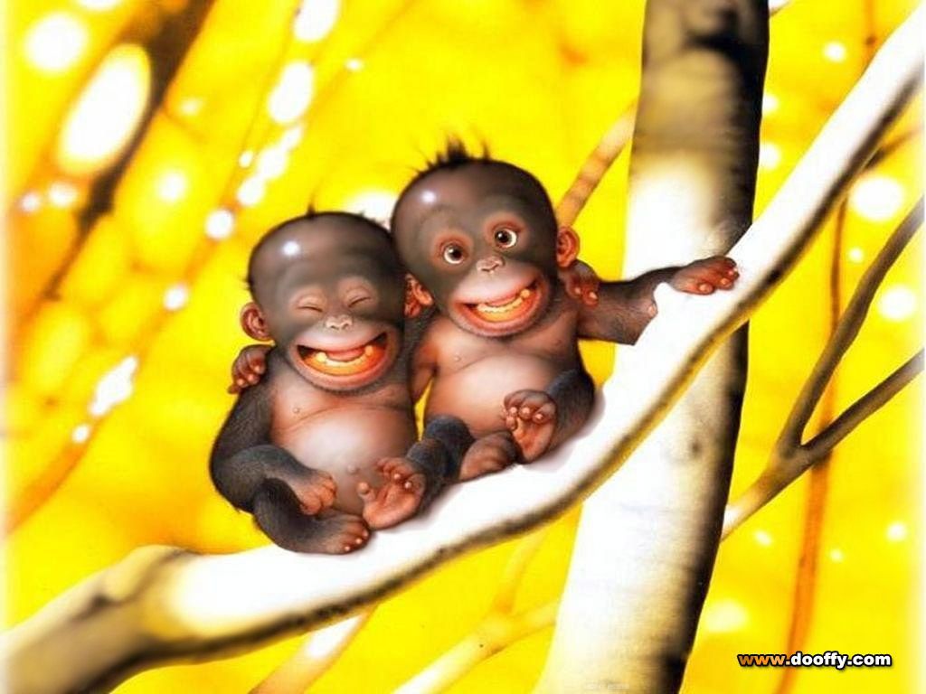 Cute Baby Monkey Wallpapers