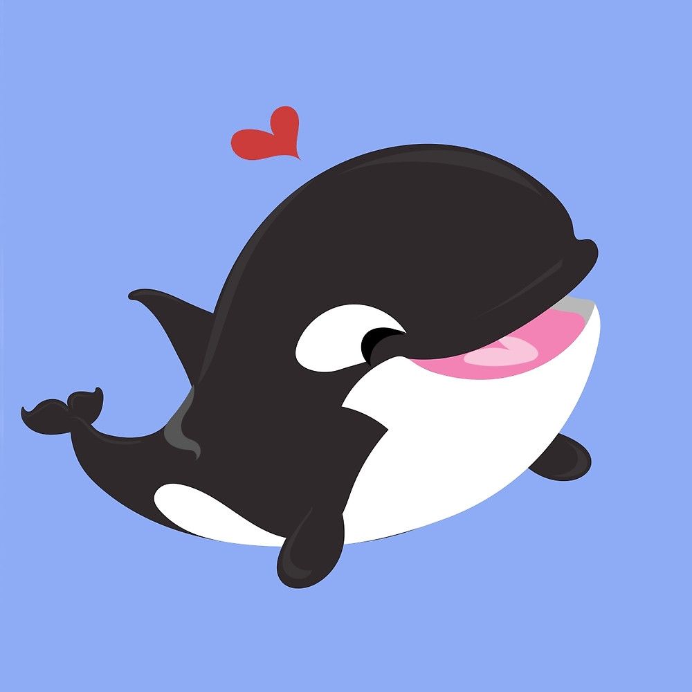 Cute Baby Orca Wallpapers