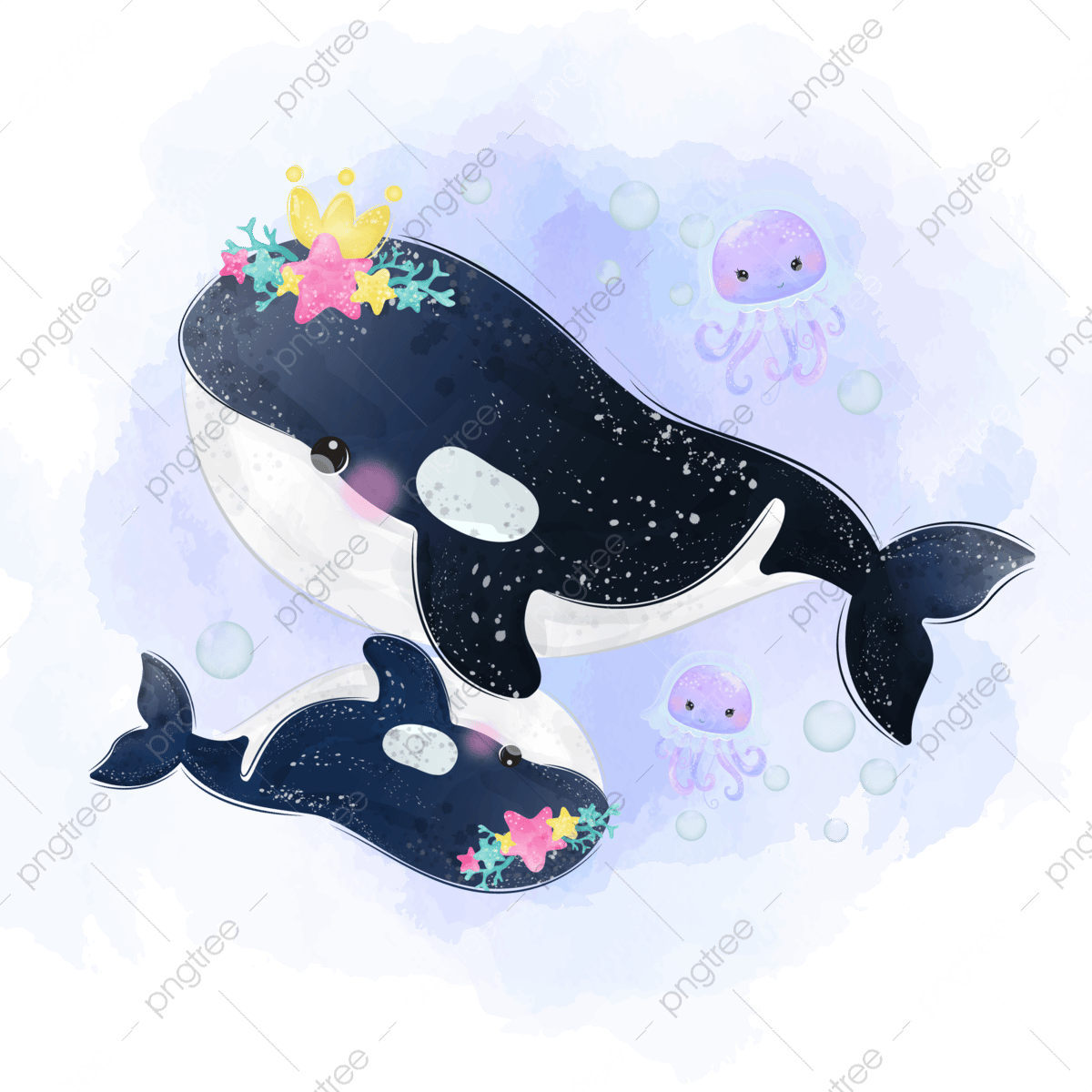 Cute Baby Orca Wallpapers