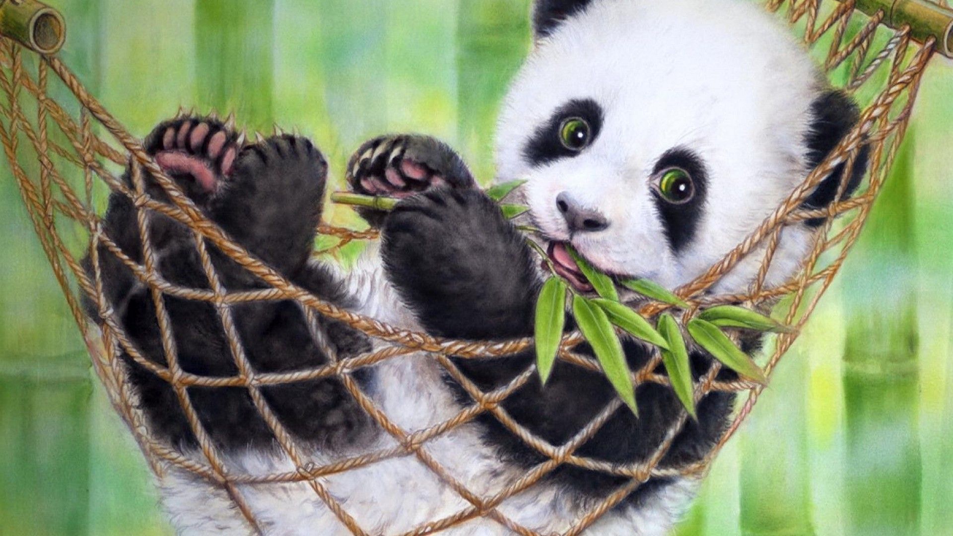 Cute Baby Panda Wallpaper Wallpapers