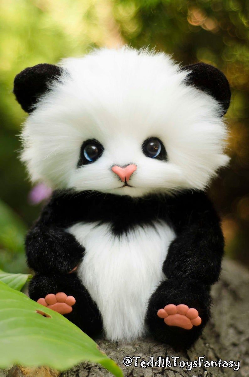 Cute Baby Panda Wallpapers Wallpapers