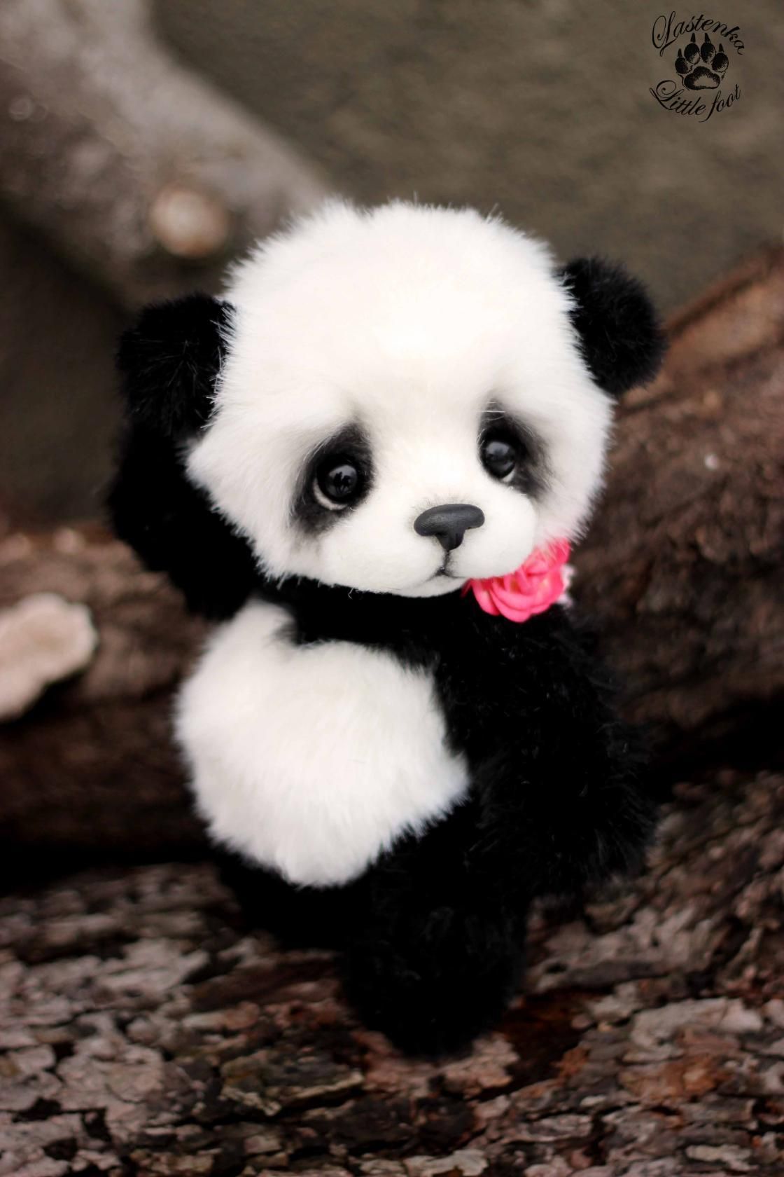 Cute Baby Panda Wallpapers Wallpapers