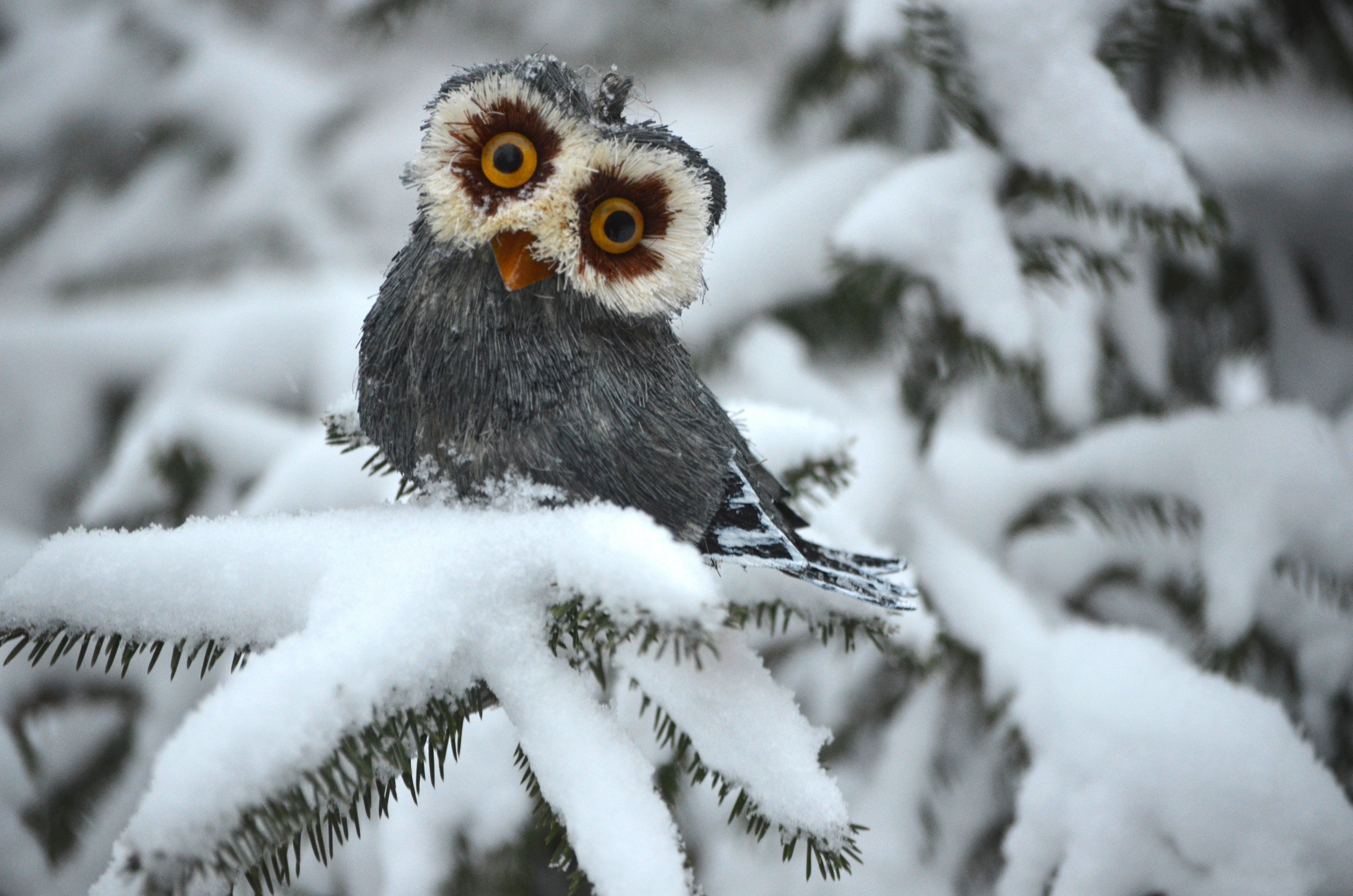 Cute Baby Winter Animals Wallpapers