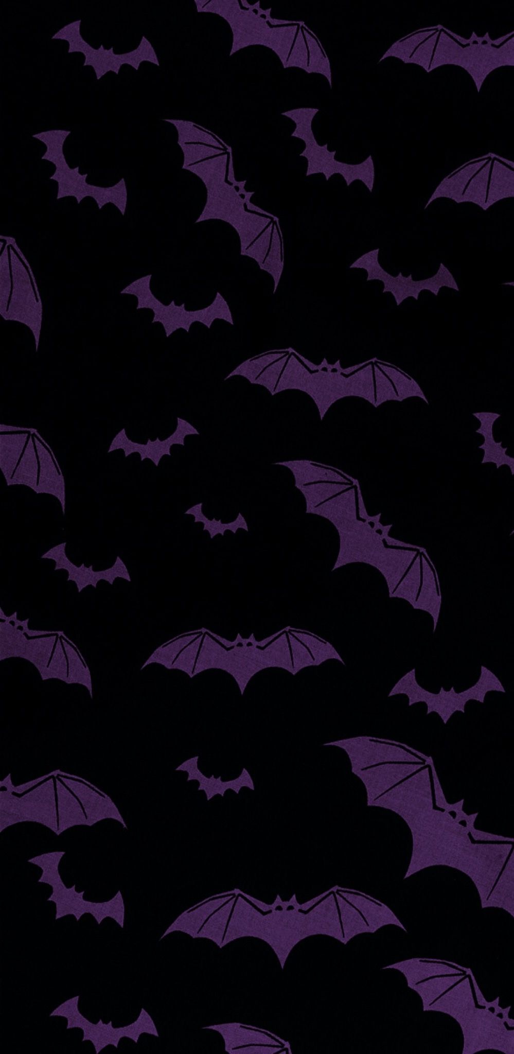 Cute Bats Wallpapers Wallpapers