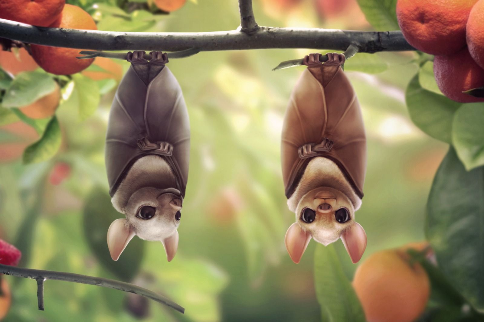 Cute Bats Wallpapers Wallpapers