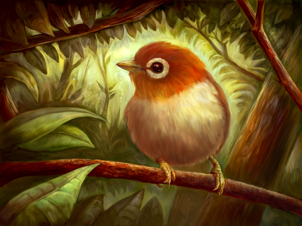 Cute Bird Art Wallpapers