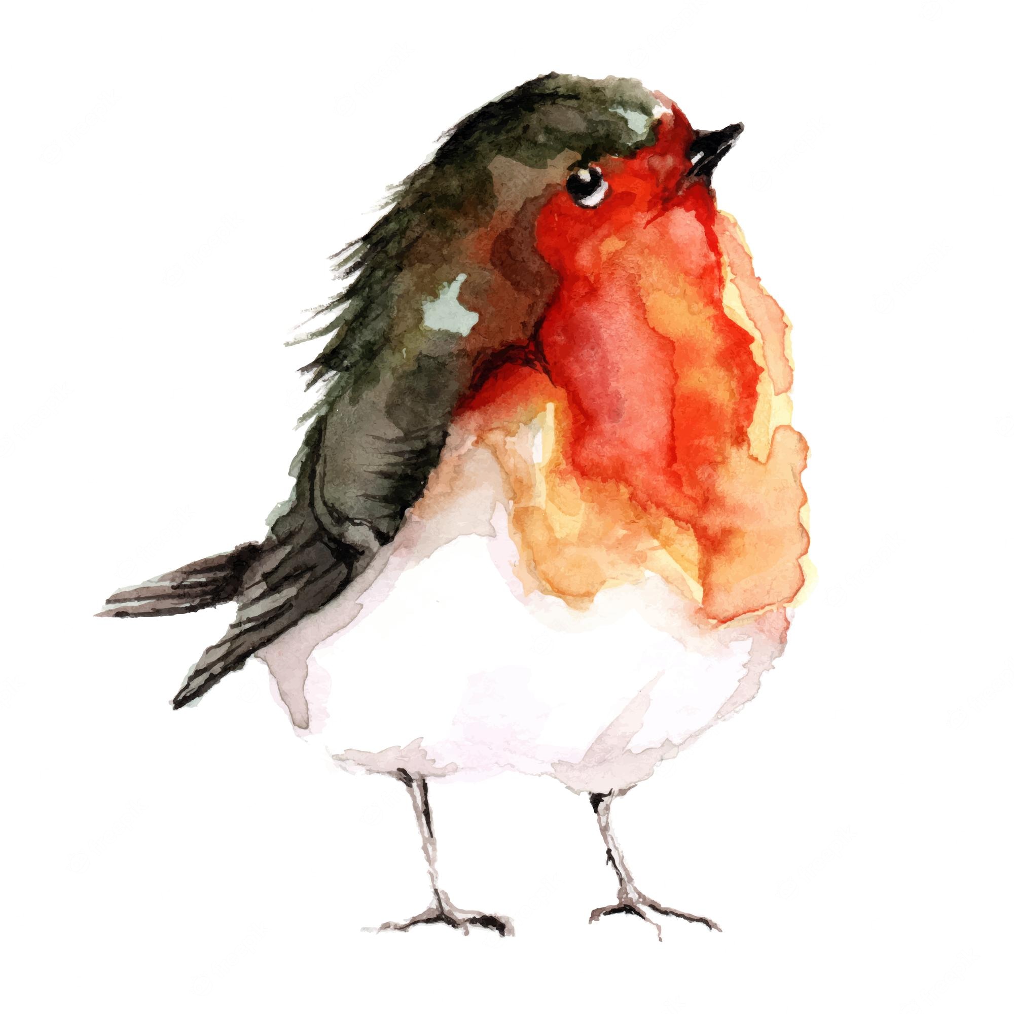 Cute Bird Art Wallpapers