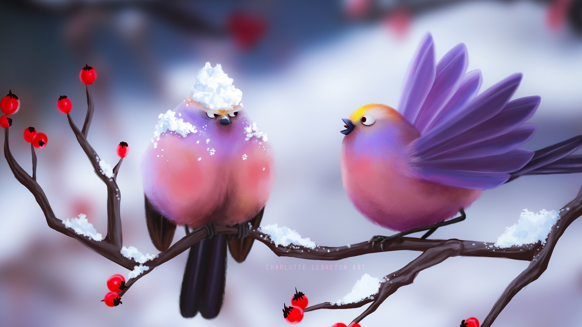 Cute Bird Hd Wallpapers