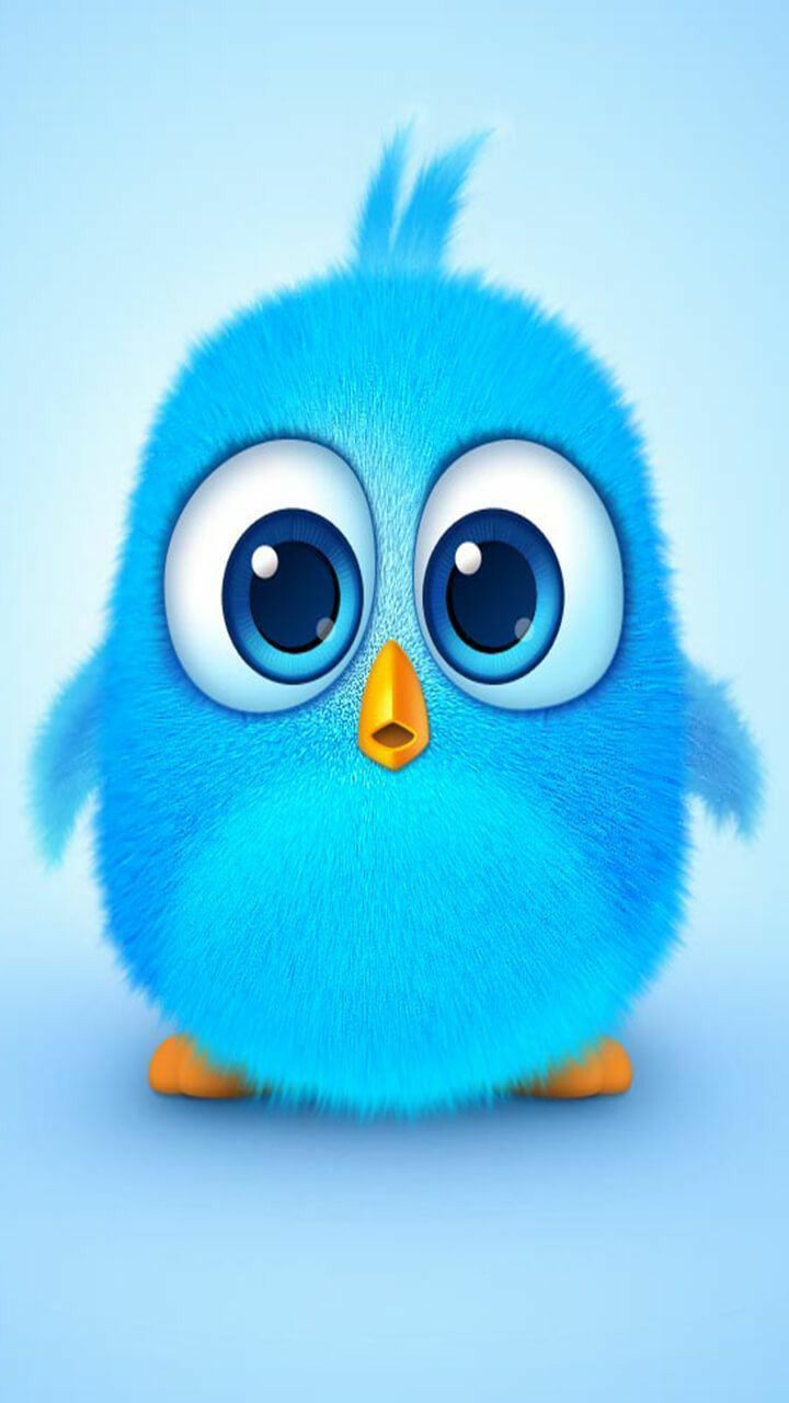 Cute Bird Wallpapers Wallpapers