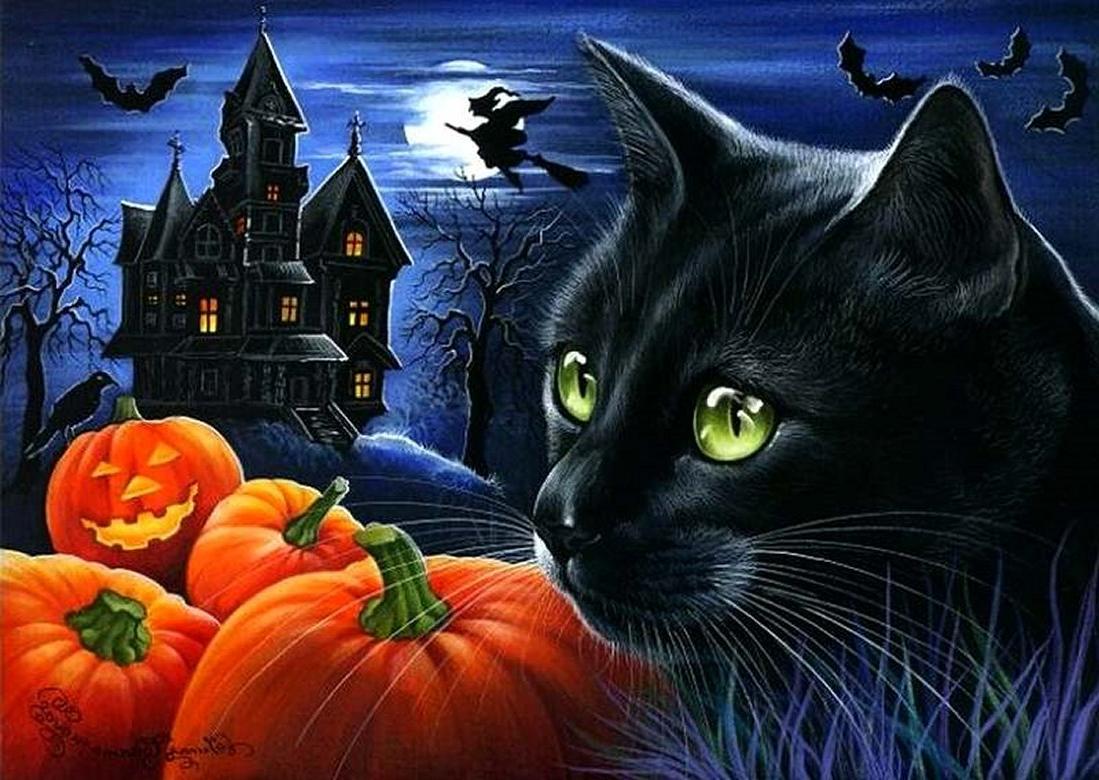 Cute Black Cat Halloween Wallpapers