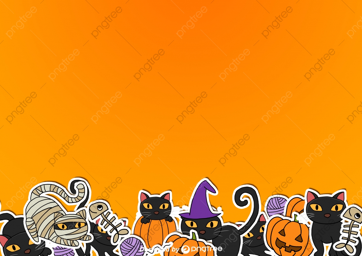 Cute Black Cat Halloween Wallpapers