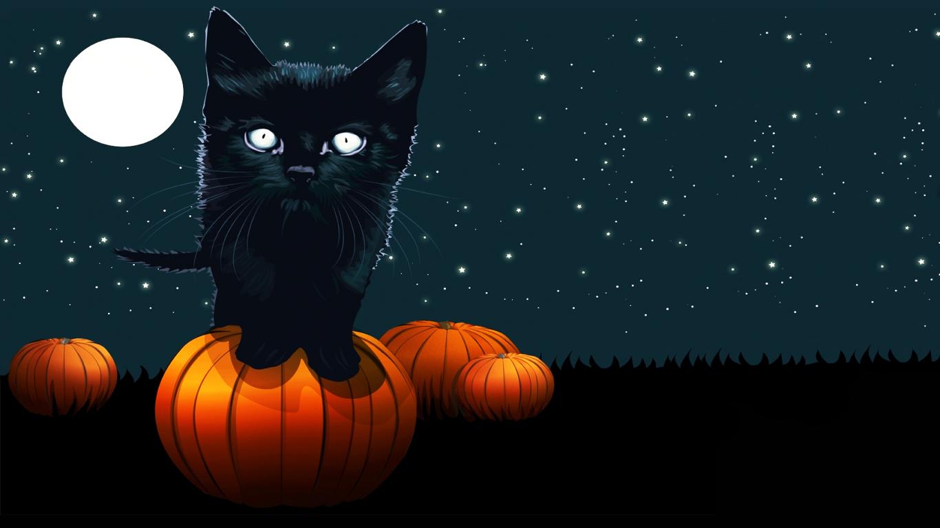 Cute Black Cat Halloween Wallpapers