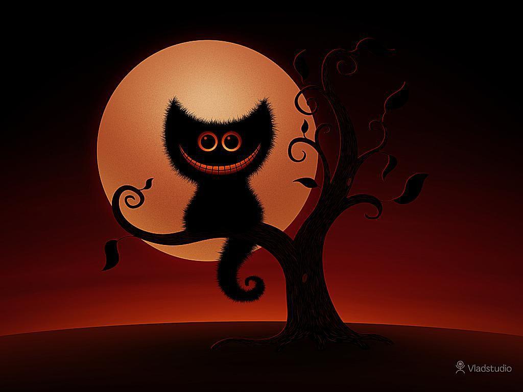 Cute Black Cat Halloween Wallpapers