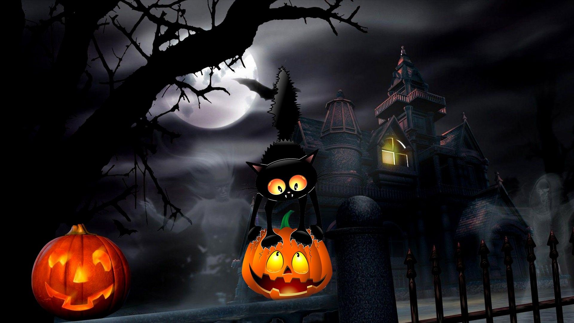 Cute Black Cat Halloween Wallpapers