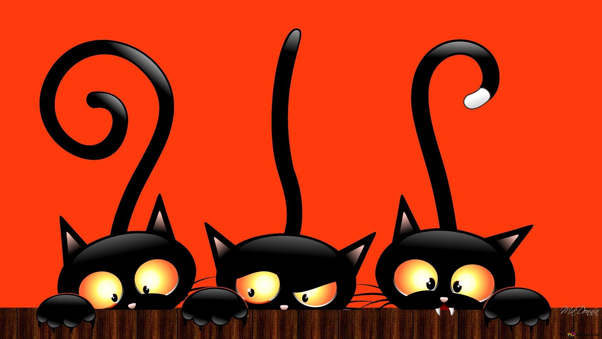 Cute Black Cat Halloween Wallpapers