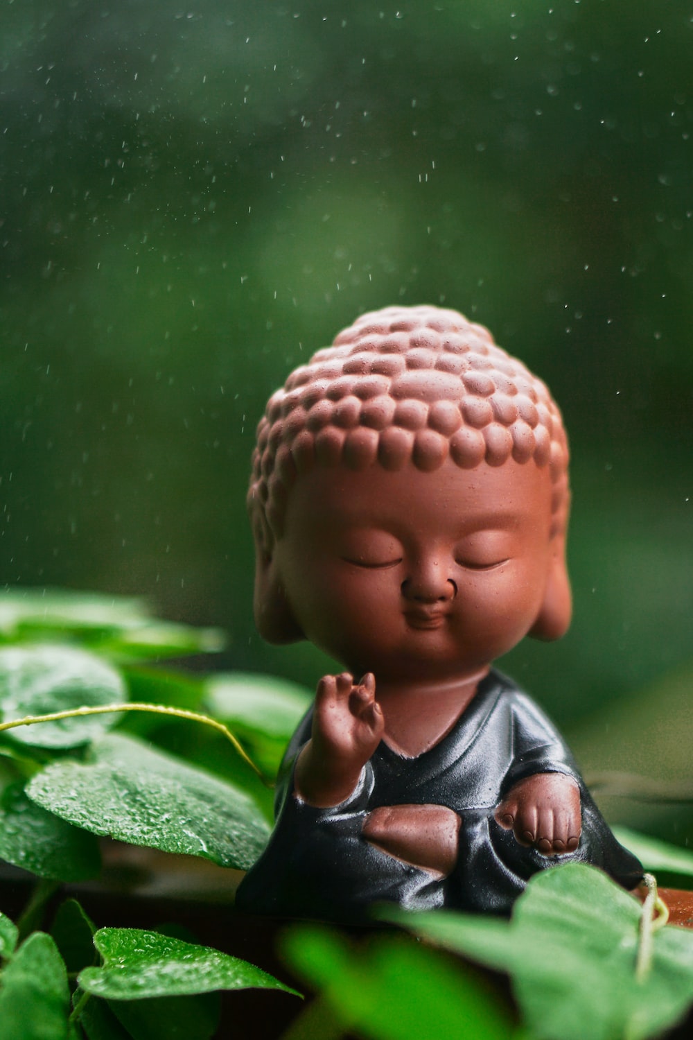 Cute Buddha Wallpapers