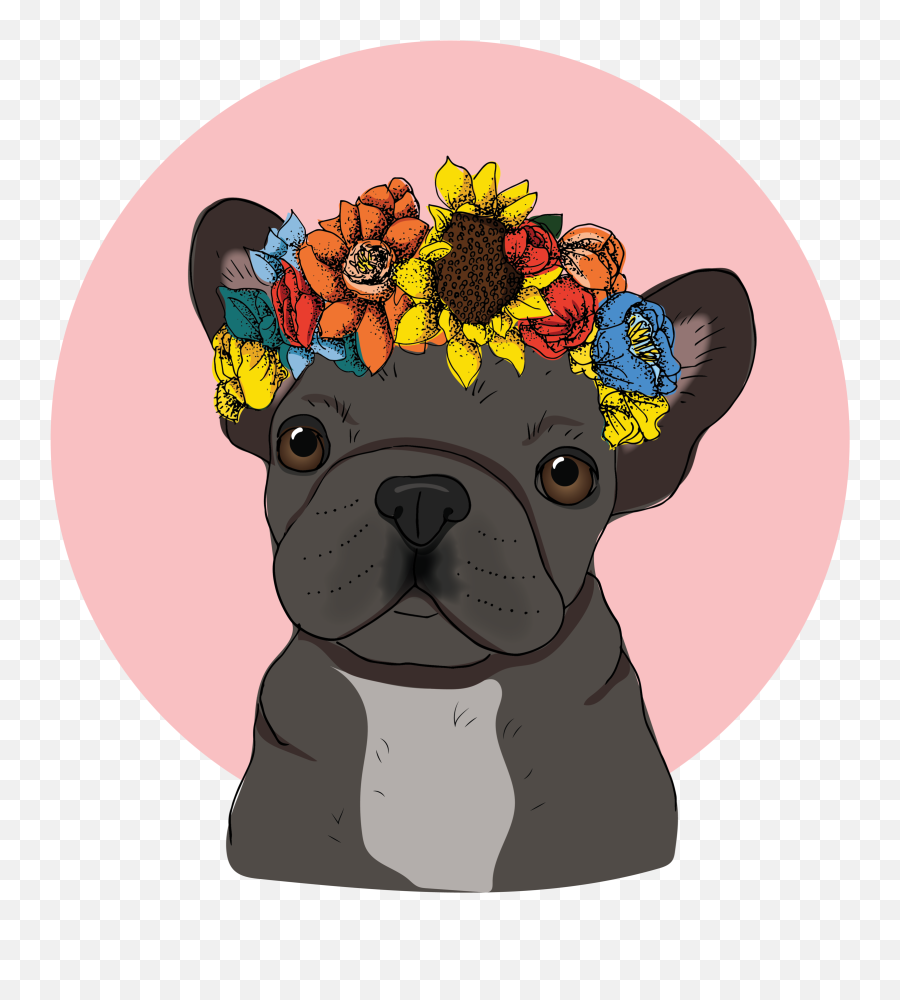 Cute Bulldog Wallpapers