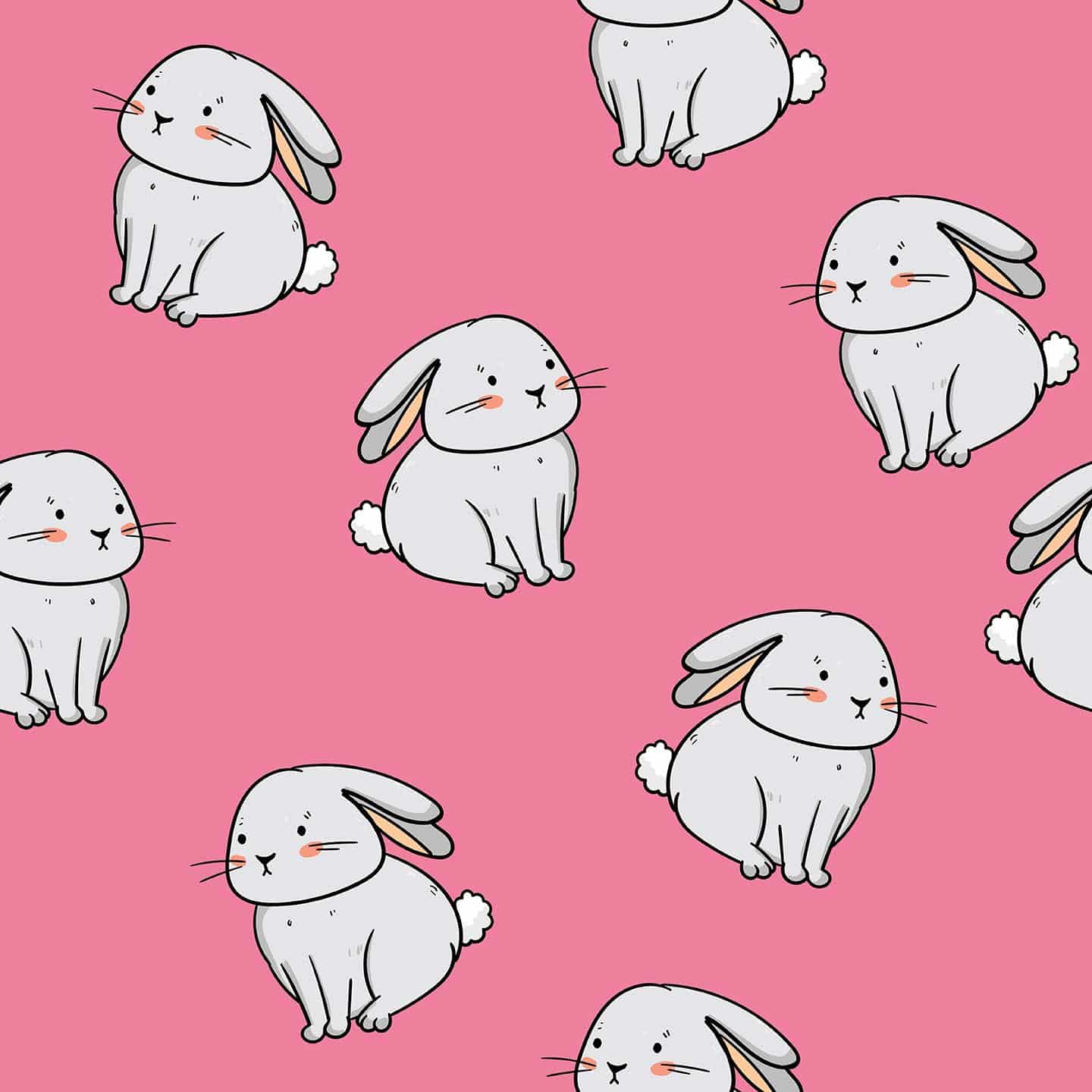 Cute Bunny Anime Wallpapers