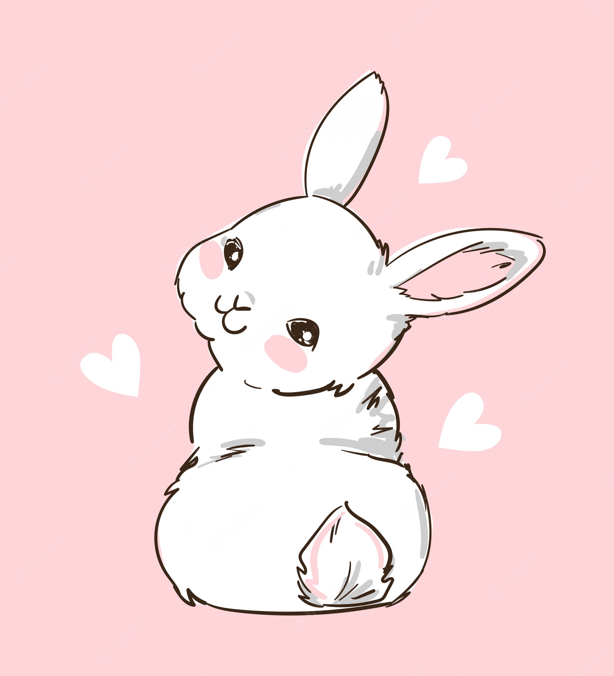 Cute Bunny Wallpapers