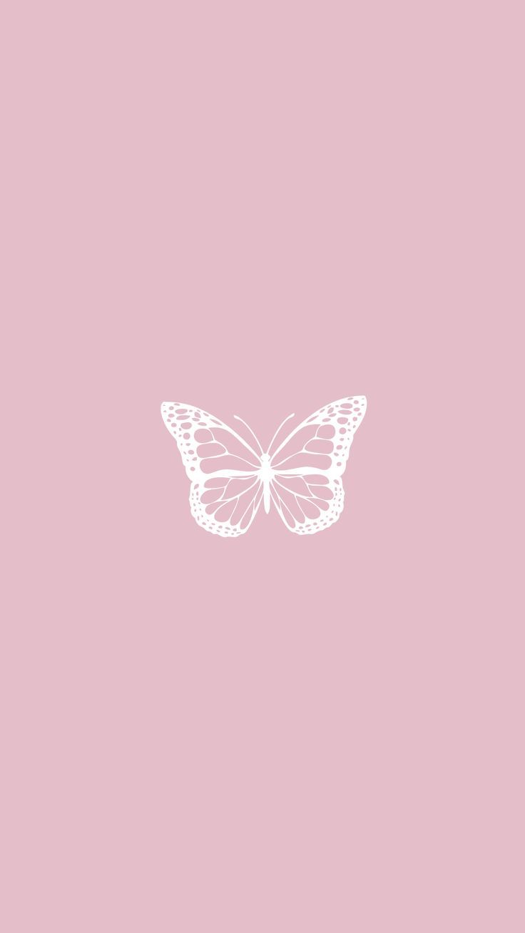 Cute Butterfly Baby Pink Wallpapers Wallpapers