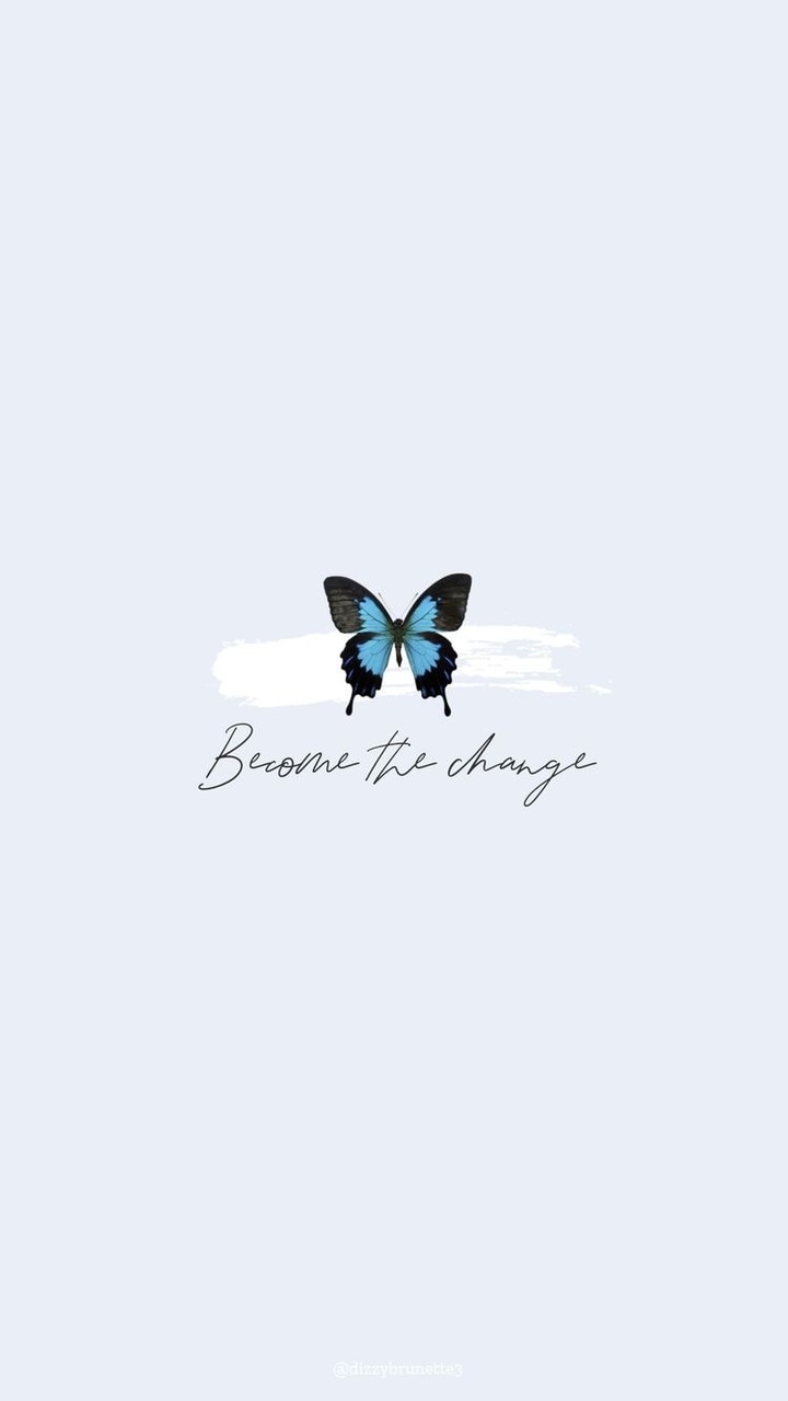 Cute Butterfly Wallpapers