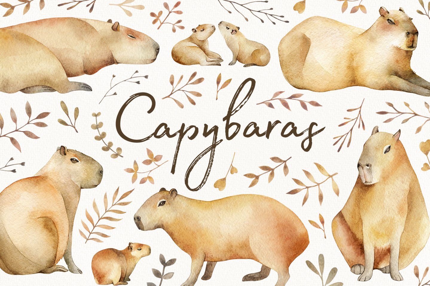 Cute Capybara Wallpapers