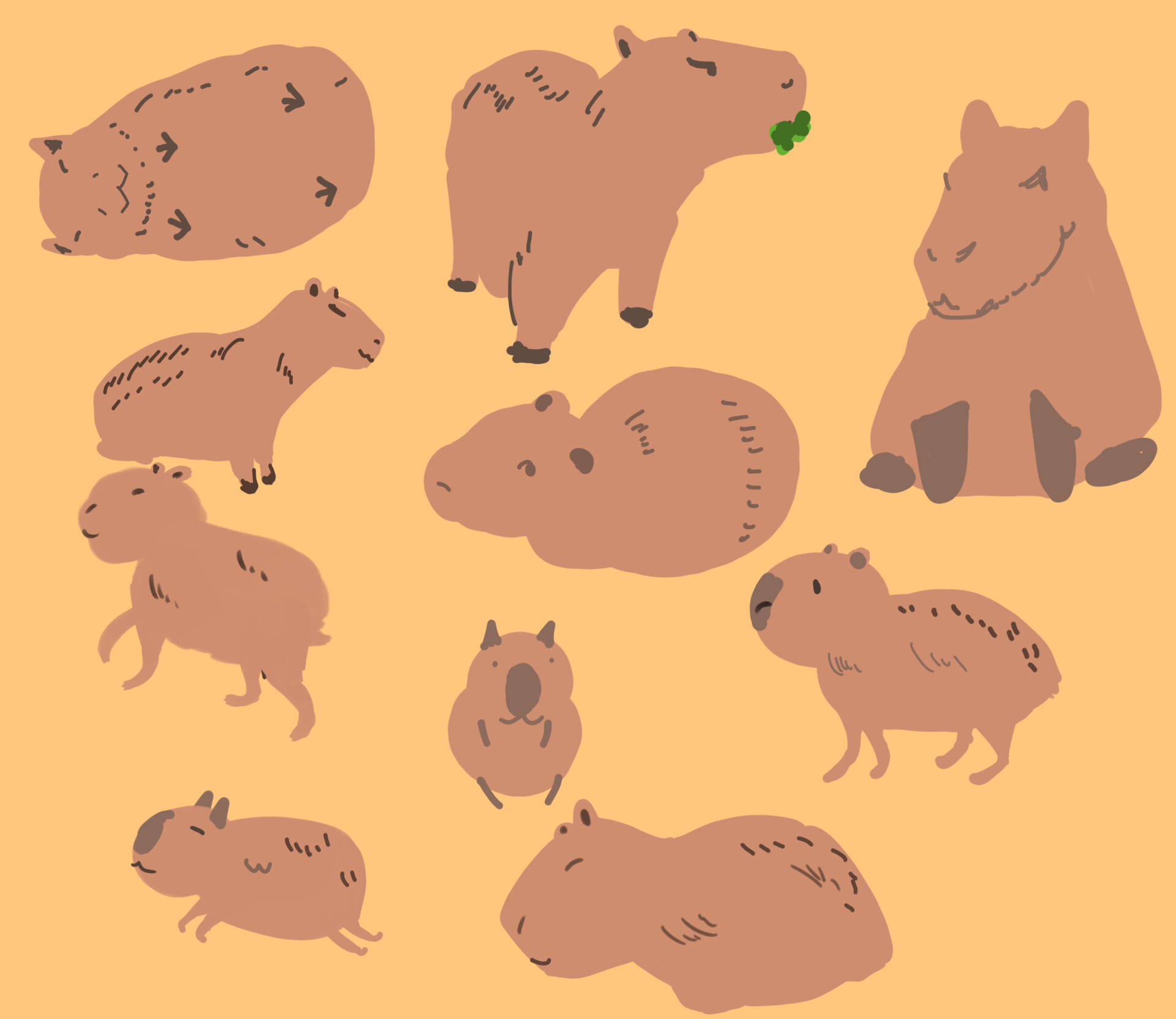 Cute Capybara Wallpapers