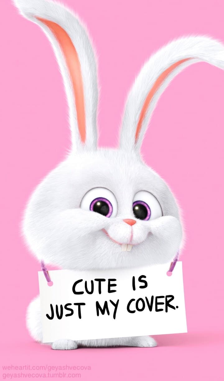 Cute Cartoon Bunny Background