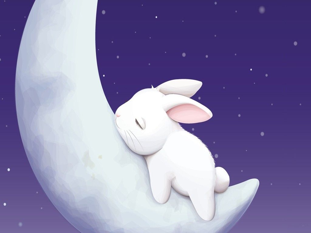 Cute Cartoon Bunny Background