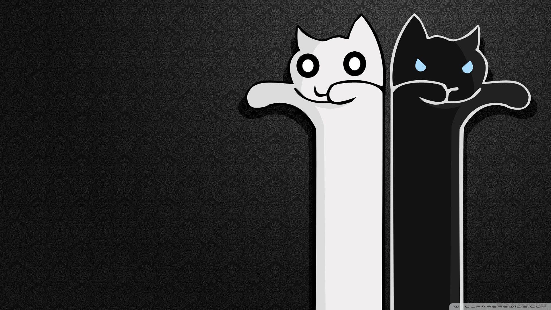 Cute Cartoon Cat Wallpapers