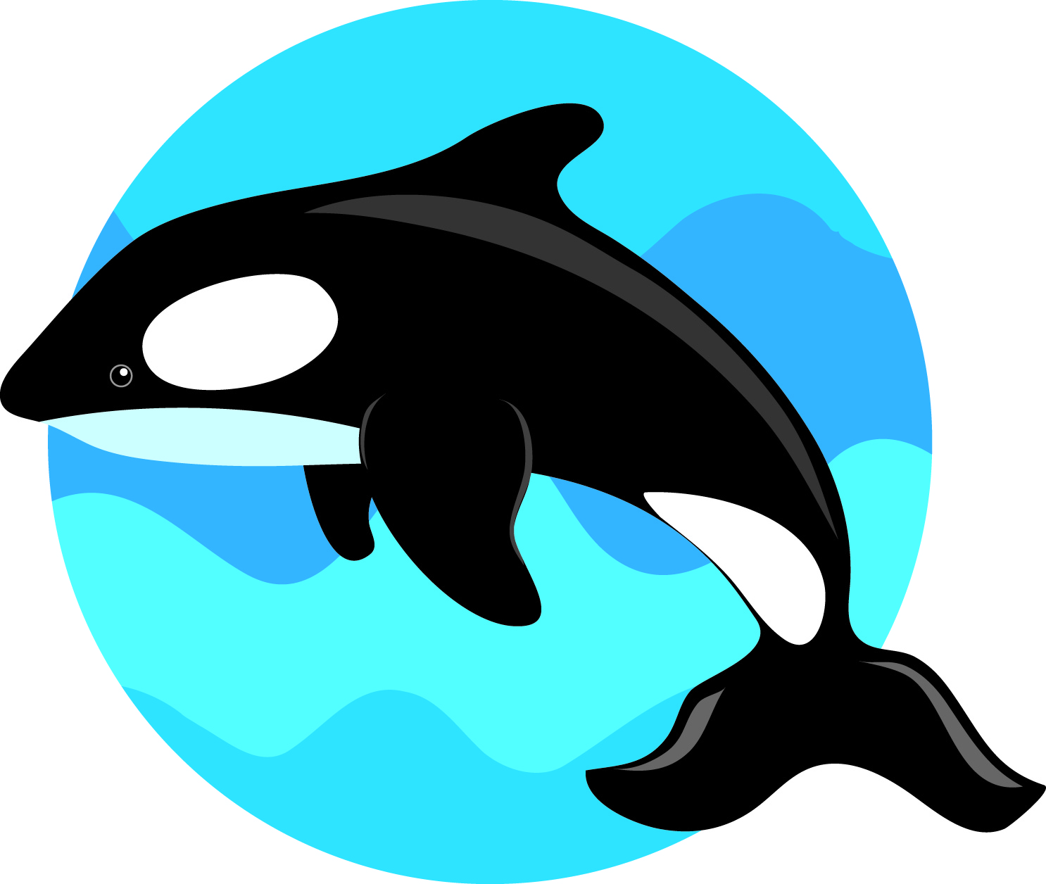 Cute Cartoon Whale Wallpapers