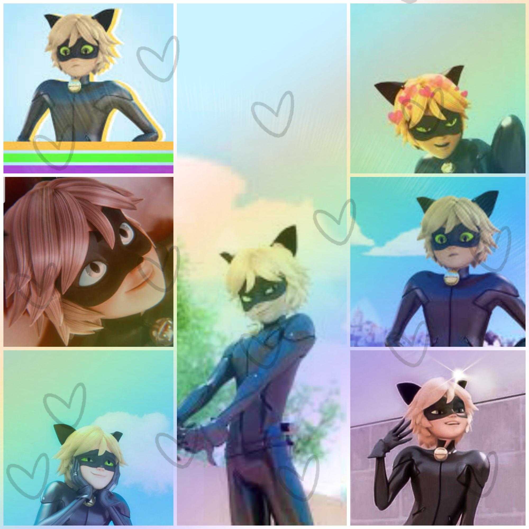 Cute Cat Noir Computer Wallpapers Wallpapers