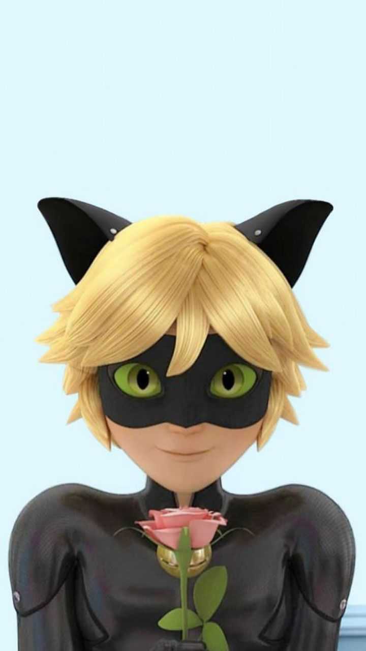 Cute Cat Noir Computer Wallpapers Wallpapers