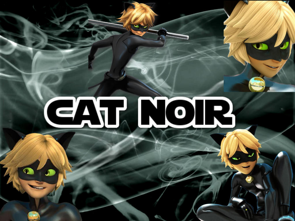 Cute Cat Noir Computer Wallpapers Wallpapers