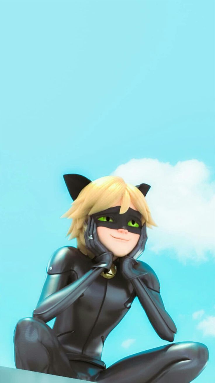 Cute Cat Noir Computer Wallpapers Wallpapers