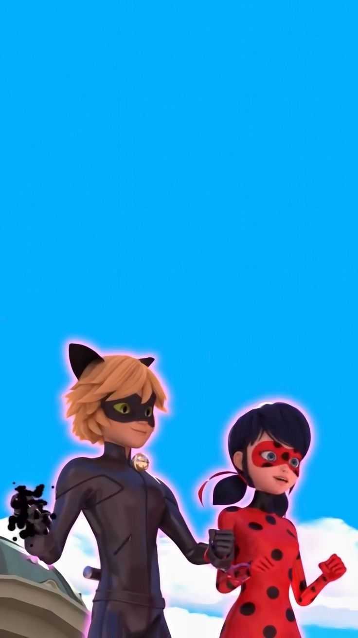 Cute Cat Noir Computer Wallpapers Wallpapers