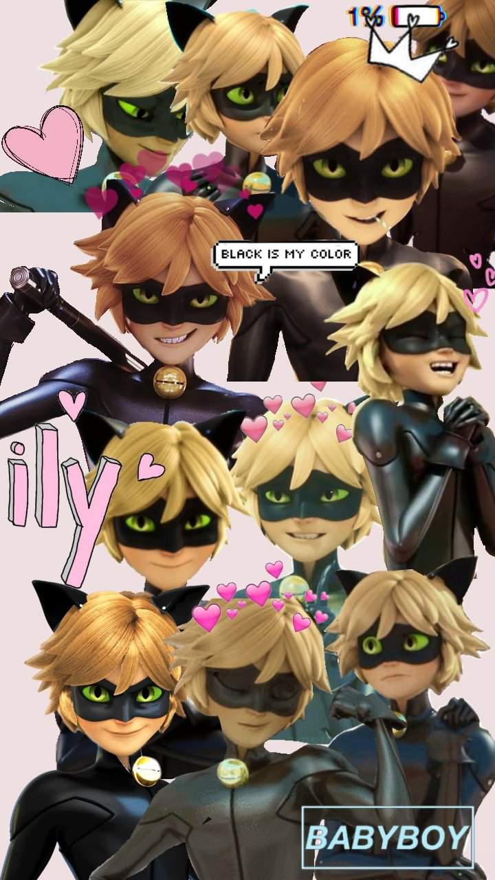 Cute Cat Noir Wallpapers