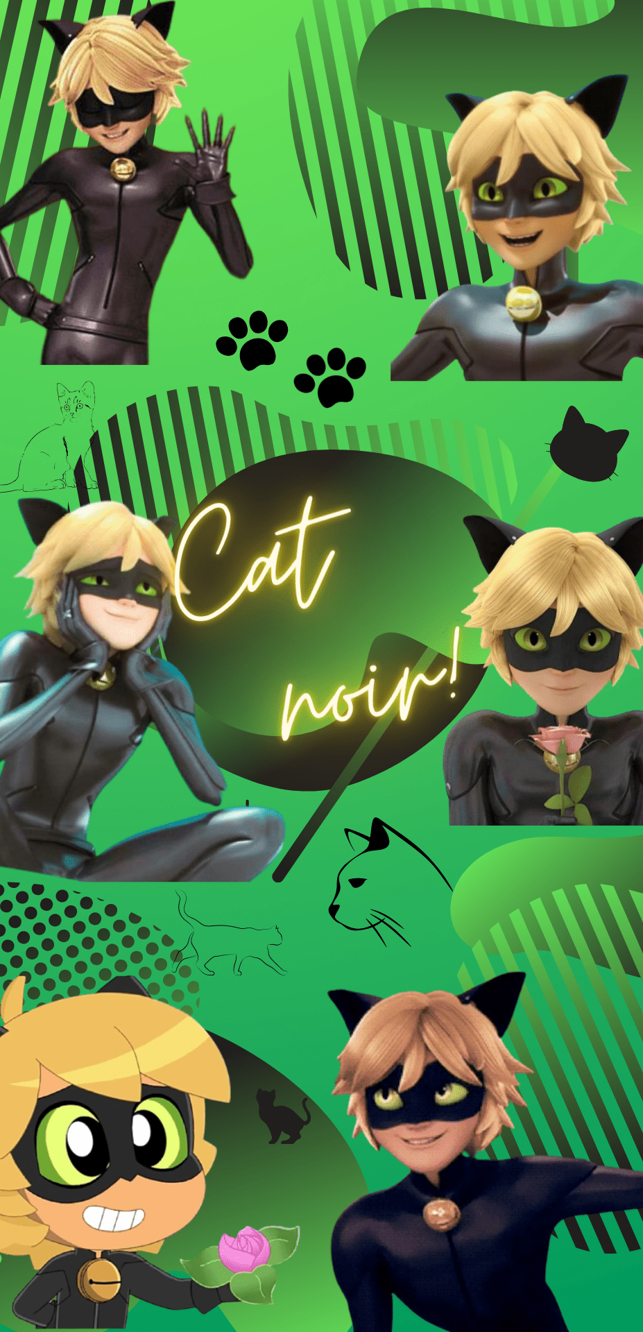 Cute Cat Noir Wallpapers