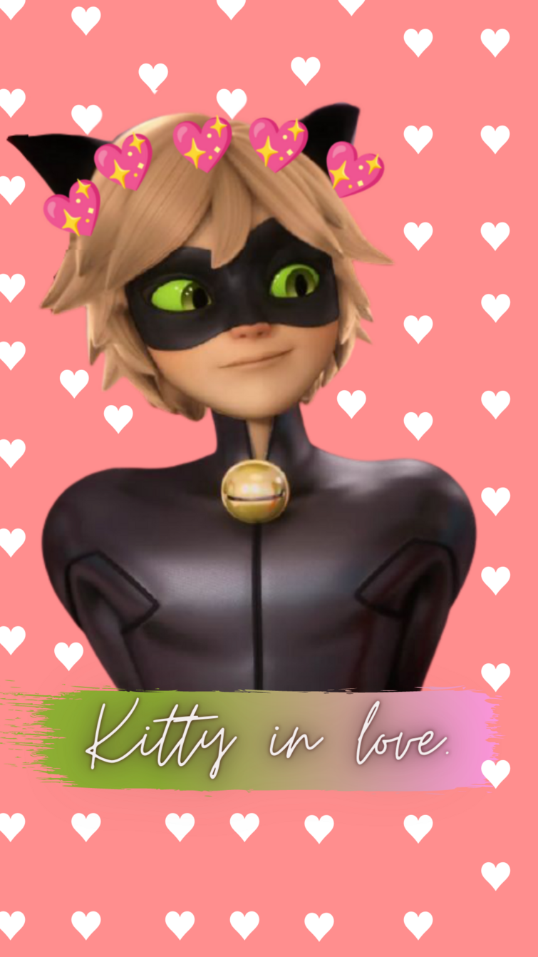 Cute Cat Noir Wallpapers