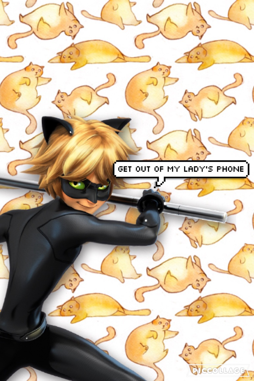 Cute Cat Noir Wallpapers