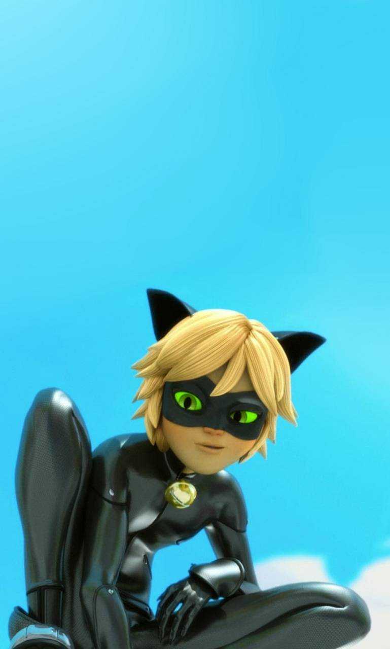 Cute Cat Noir Wallpapers