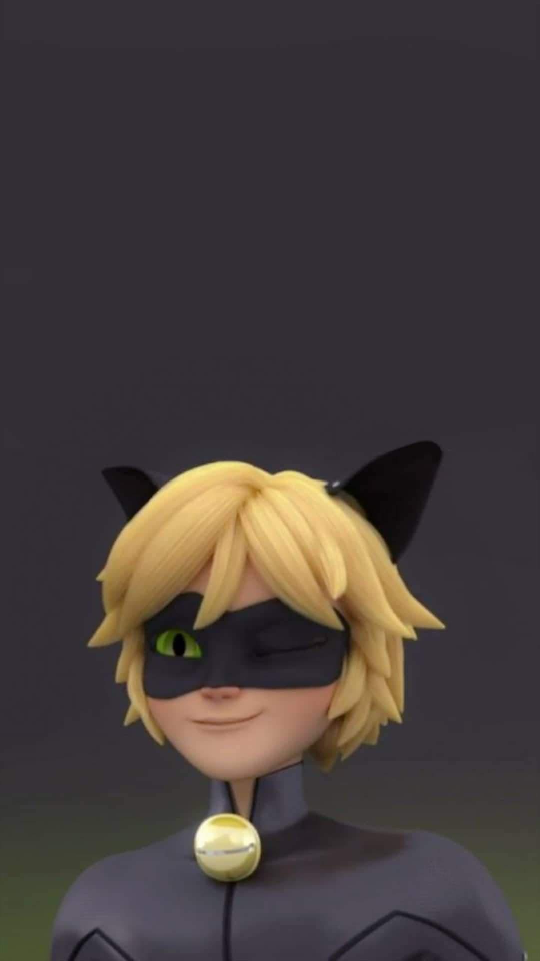 Cute Cat Noir Wallpapers