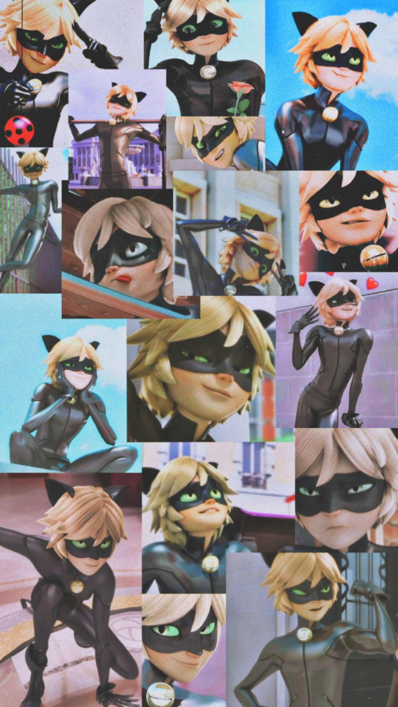 Cute Cat Noir Wallpapers