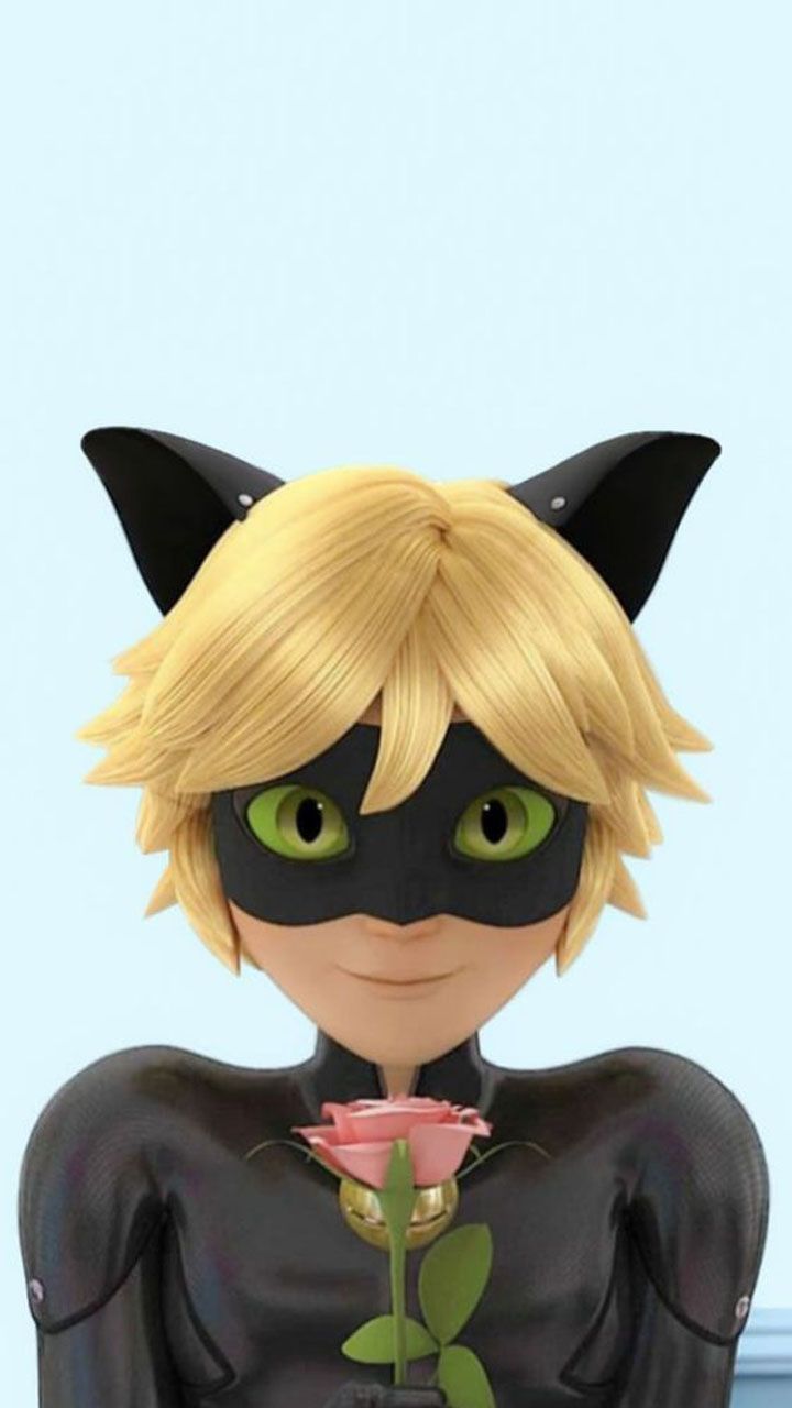 Cute Cat Noir Wallpapers