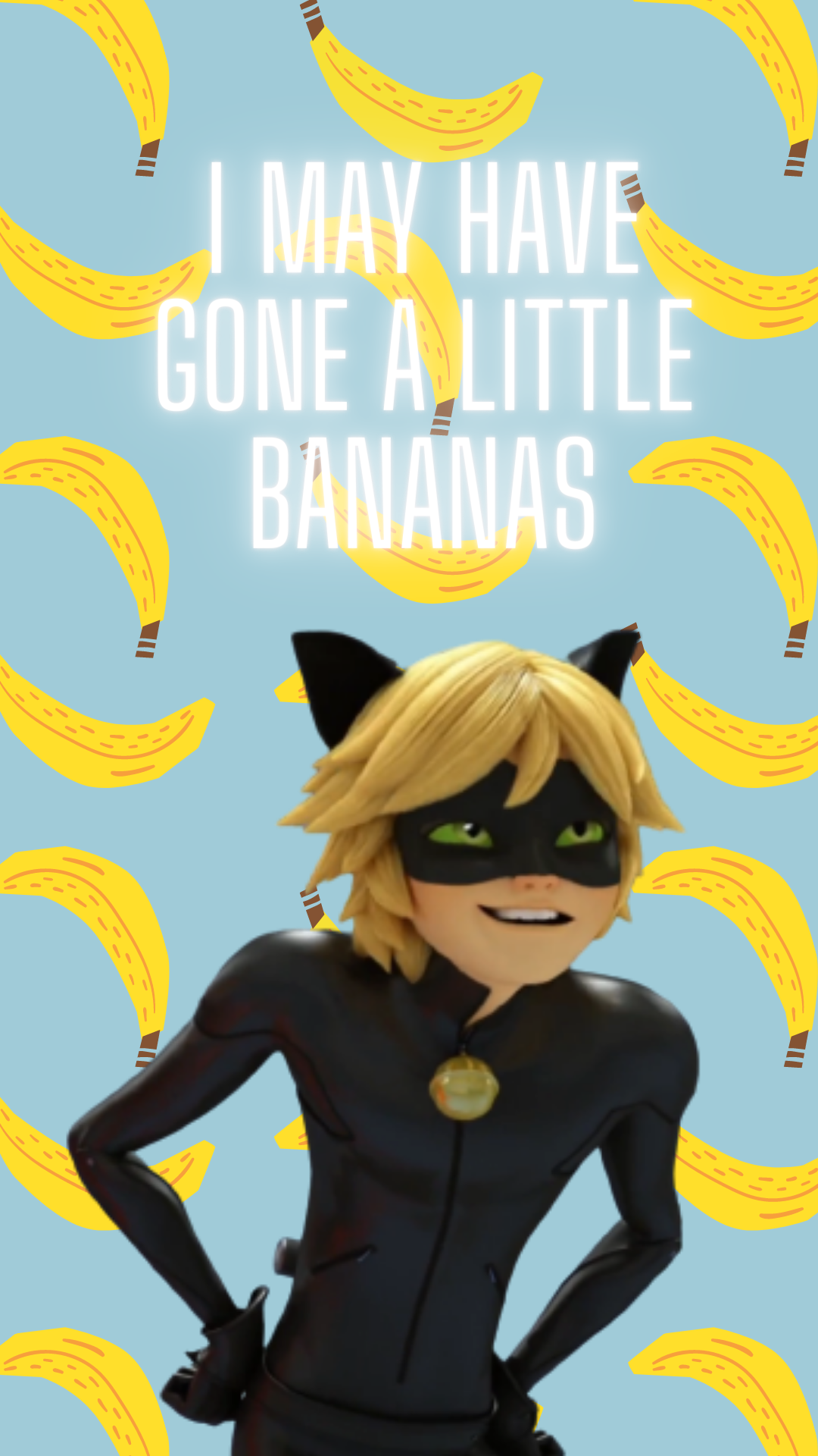 Cute Cat Noir Wallpapers