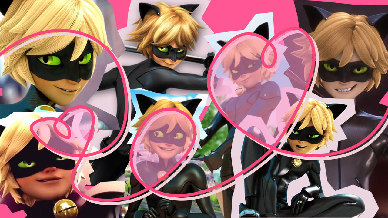 Cute Cat Noir Wallpapers